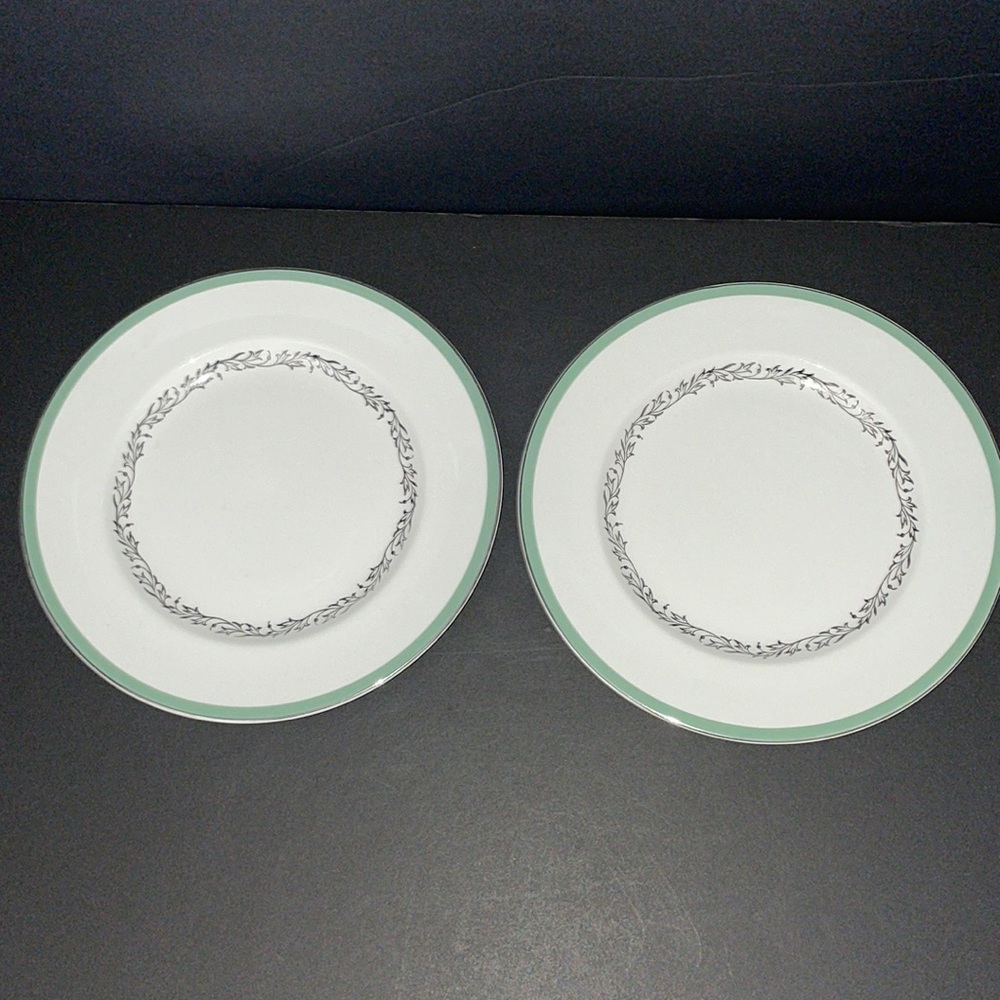 2 Johnson Brothers Snowhite Dinner Plates Green Band Silver Rim England Vintage